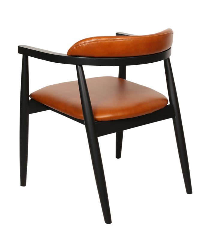 Arven Modern Sandalye - Görsel 6